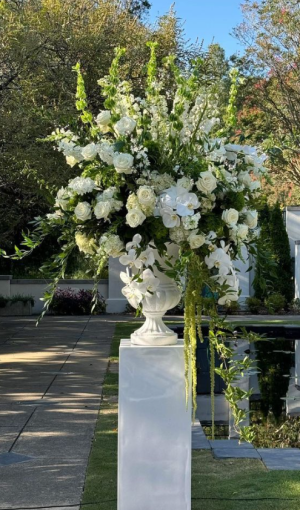 Screenshot 2025-12-19 135728